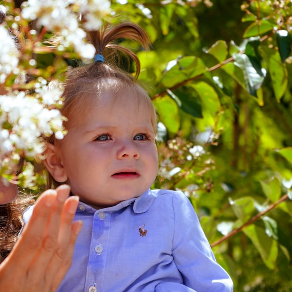 Baby in tree