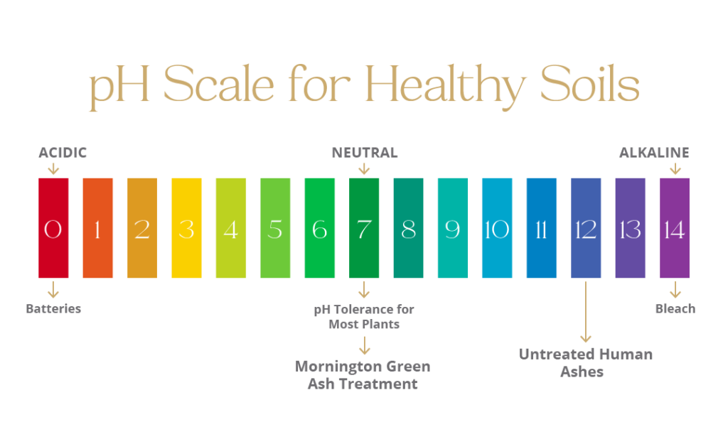 ph-scale-for-healthy-soils