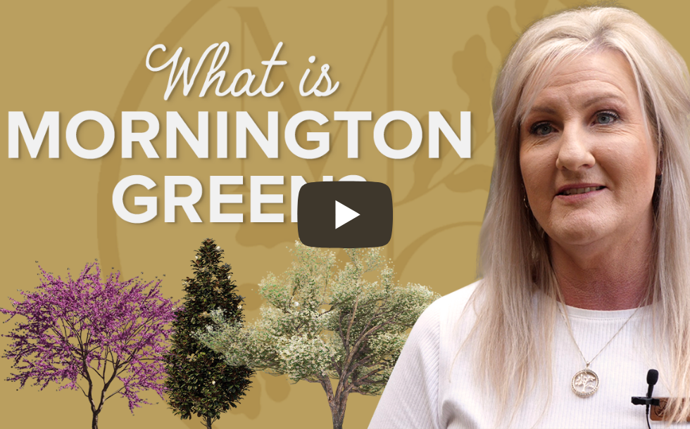 What Is Mornington Green?