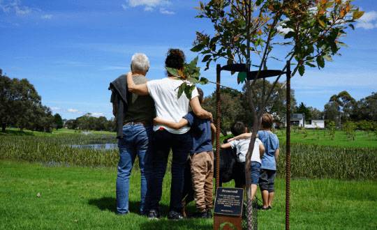 Choose your tree and location