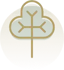 icon-mornington-tree