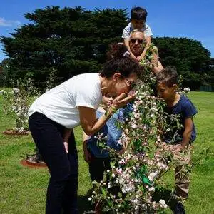 Memorial Garden Mornington