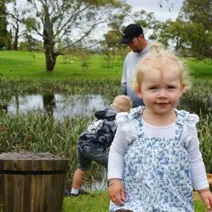 Tree Garden Services in Mornington