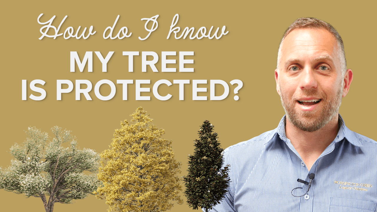 How Do I Know My Tree is Protected? Mornington Green Legacy Gardens