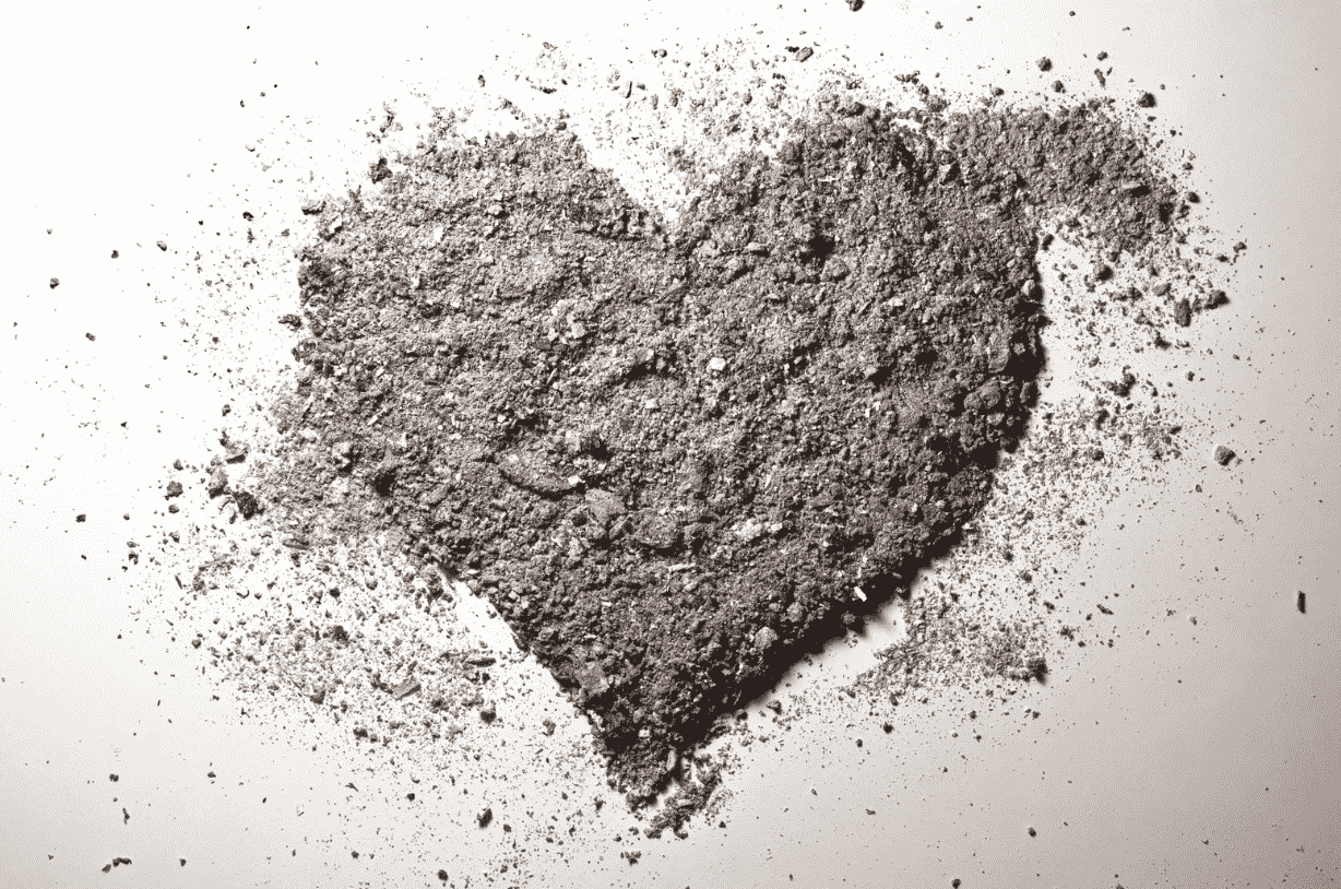 Cremated Remains