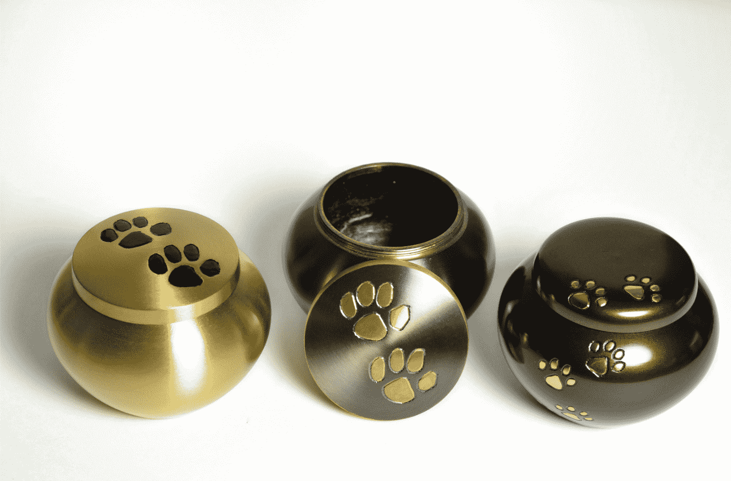 Where Can I Cremate Dog Melbourne Australia?