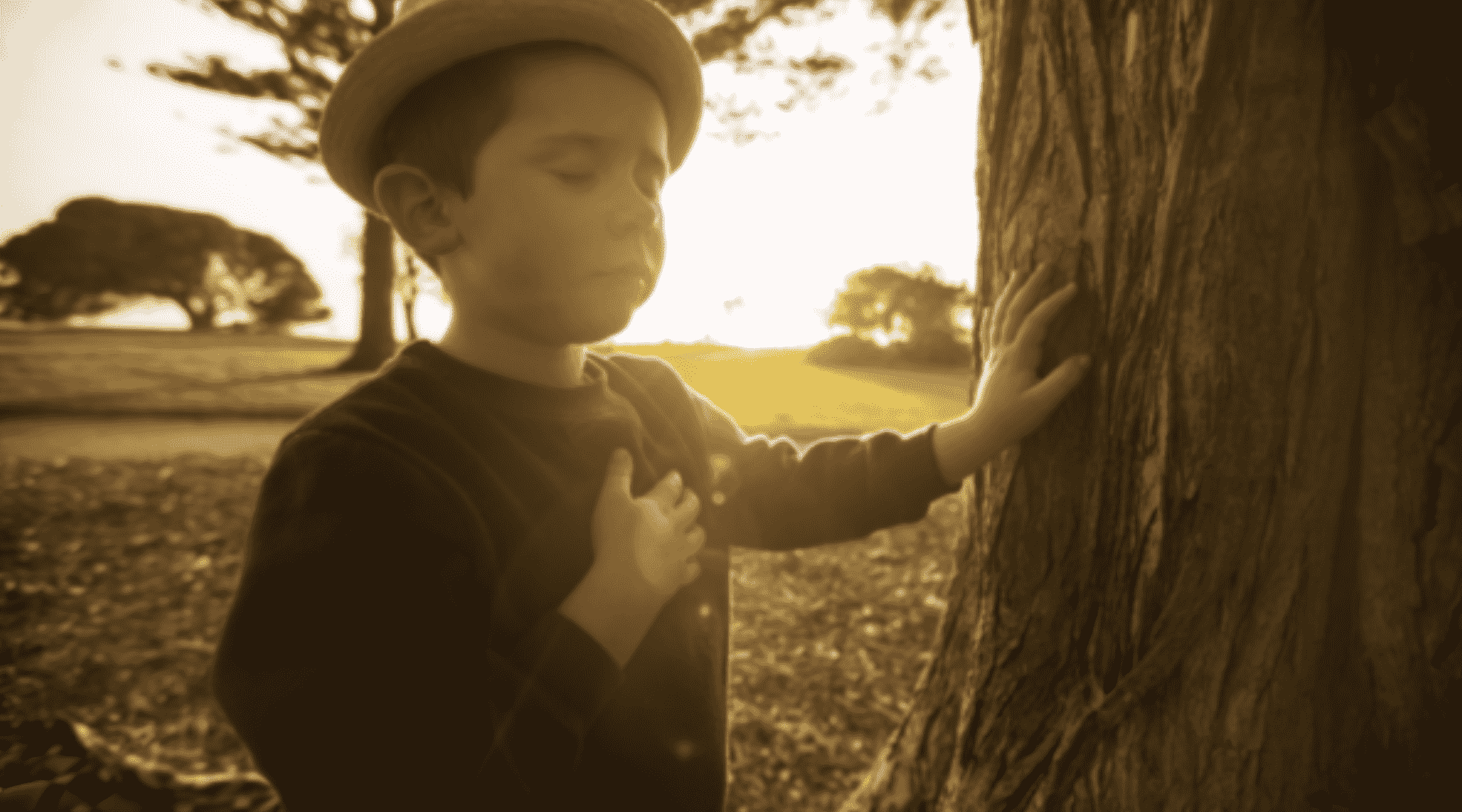 Emotional and psychological benefits of memorial trees In Australia with Mornington Green Legacy Gardens