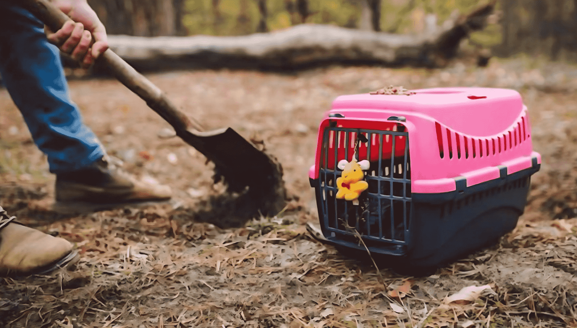 How to bury a dog in Australia by Mornington Green Legacy Gardens