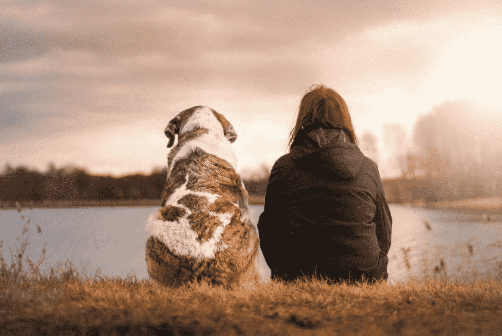 Put Your Cremated Pet With You In The Same Tree Mornington Green Legacy Gardens