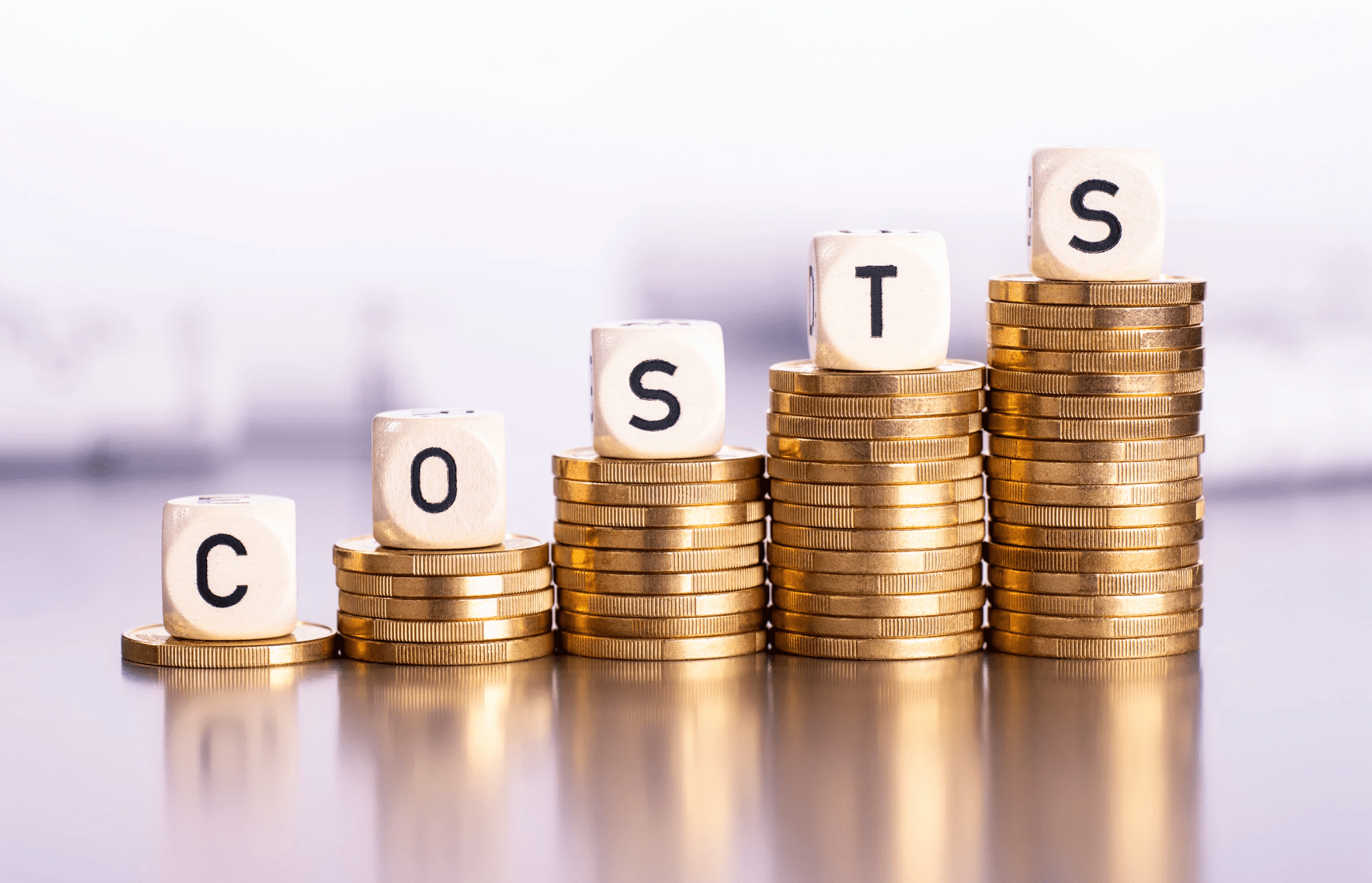 Additional Future Maintenance Costs