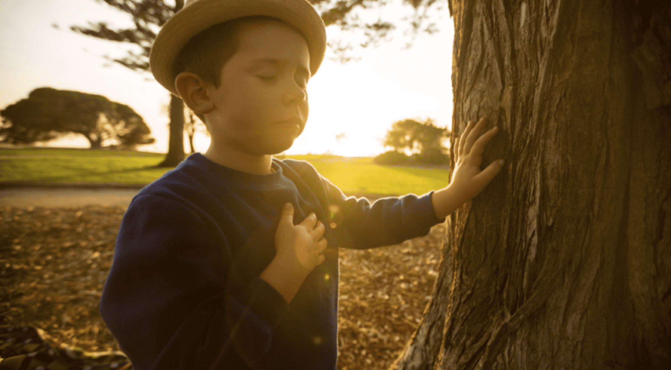 A Living Tree That Turns Grief Into Connection