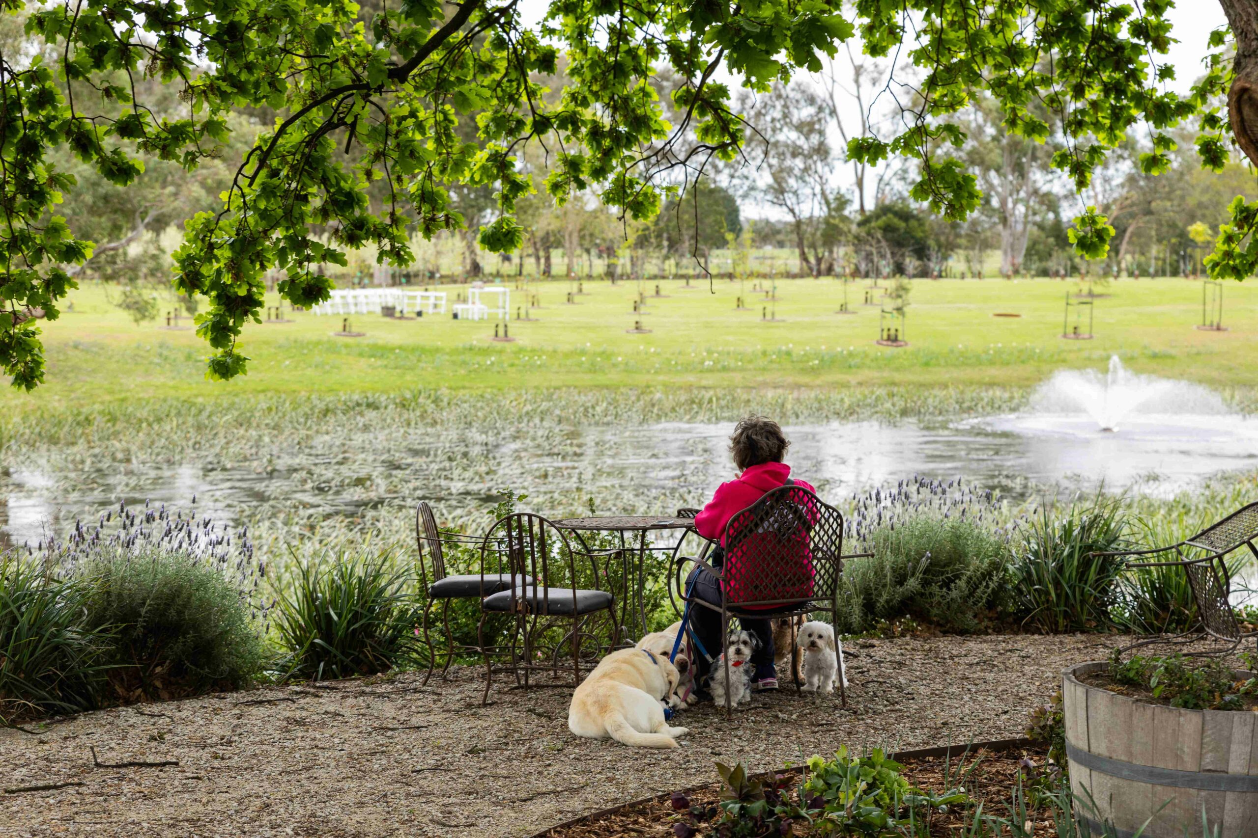 Dog memorial gifts Australia learn more at Mornington Green Legacy Gardens