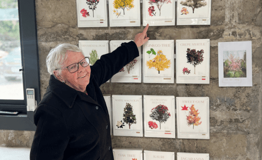 Explanation of Turning Human Ashes In Australia By Living Legacy Memorial Trees At Mornington Green Legacy Gardens Where You Start By Choosing Your Tree