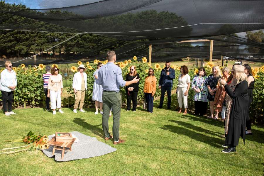 Visit Open Days At Mornington Green And Learn About Living Legacy Trees