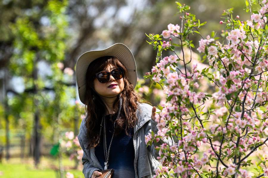 Book A Tour Of Mornington Green Living Legacy Gardens