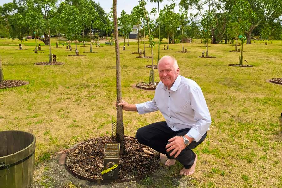 A man planting a memorial tree in Mornington Green Living Legacy Gardens Melbourne as an alternative to urns in Australia and is an eco-friendly memorial option