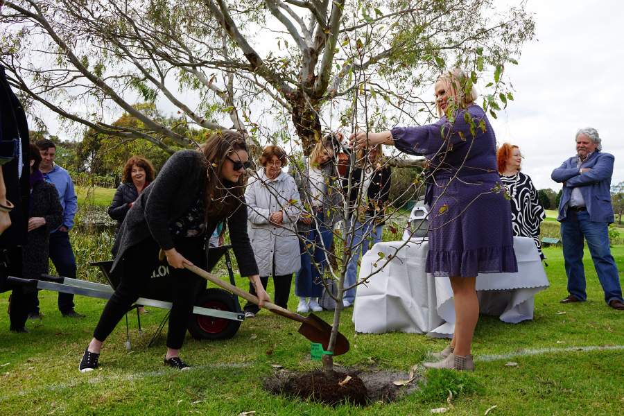 A full explanation of the benefits of planting a Living Legacy Memorial Tree in Melbourne by Mornington Green Living Legacy Gardens