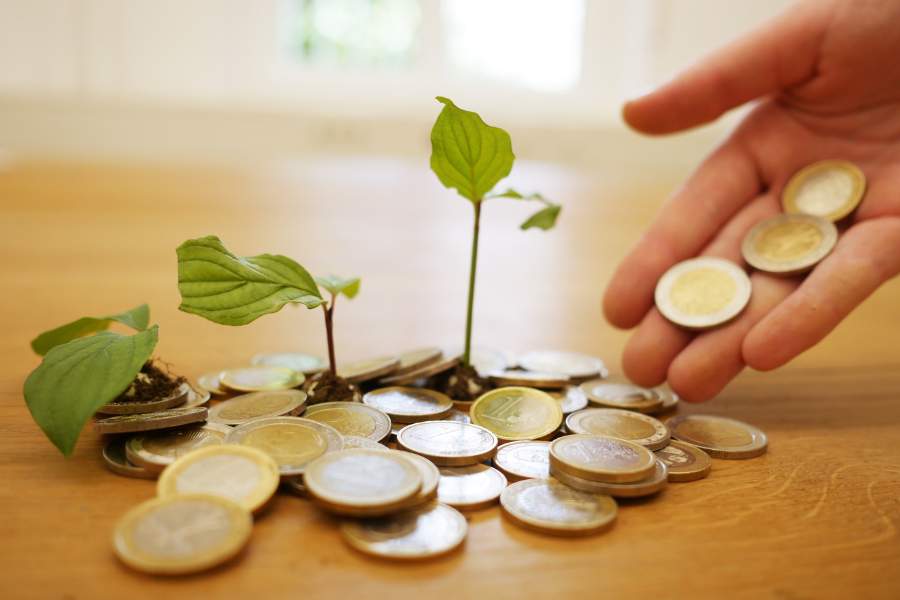 How much does planting a memorial tree in Melbourne cost?