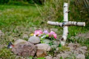 Read the full guide on how to bury a cat in Australia by Mornington Green Legacy Gardens