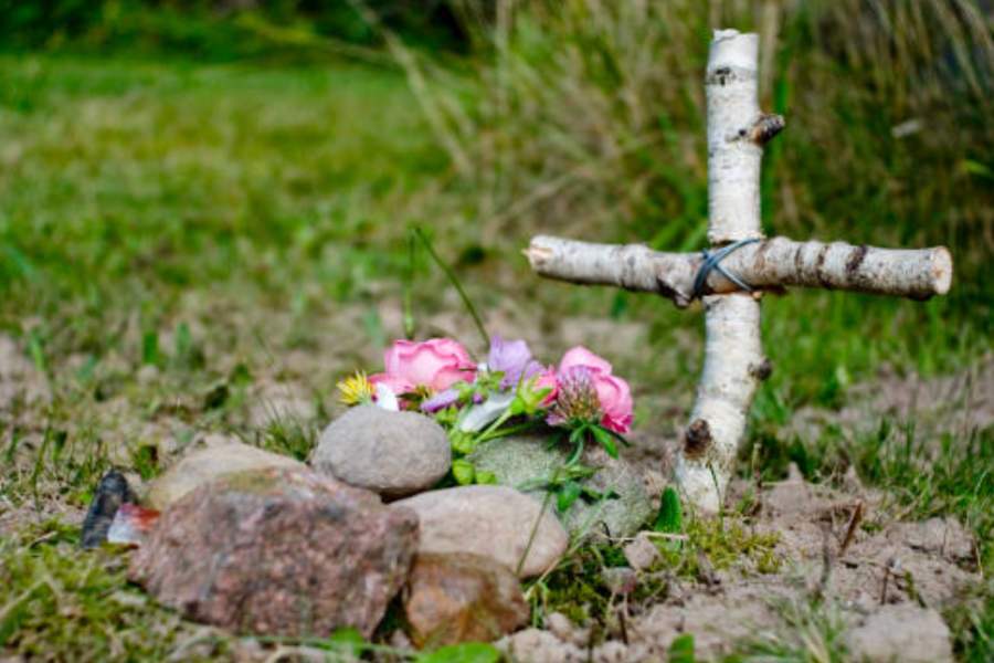 Read the full guide on how to bury a cat in Australia by Mornington Green Legacy Gardens