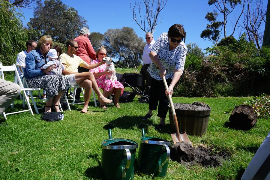 Learn the full explanation of the process of planting a memorial tree in Melbourne here