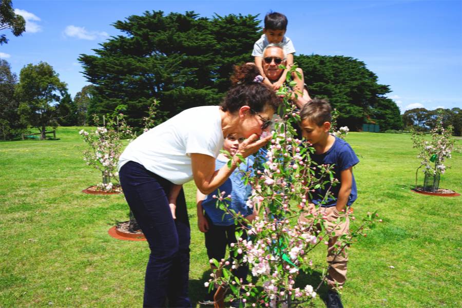 A family planting a Living Legacy Tree with their loved one's ashes at Mornington Green Living Legacy Gardens