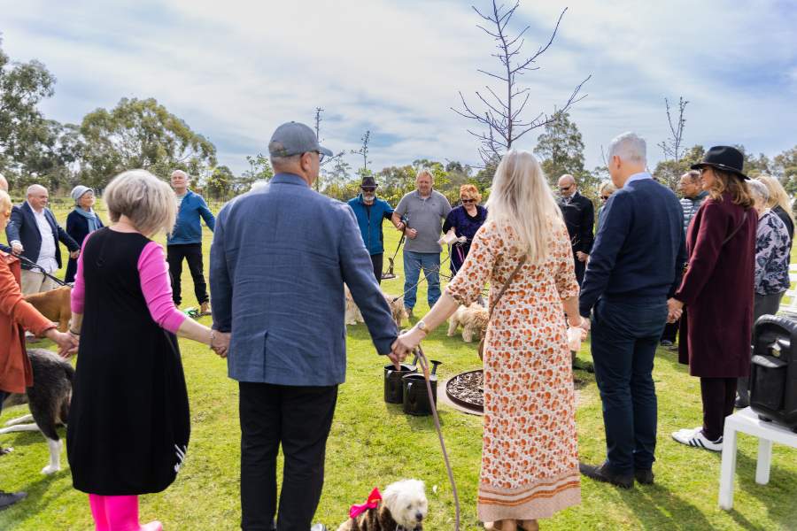Why you should choose A Living Legacy Memorial Tree For Your Pet and Cat
