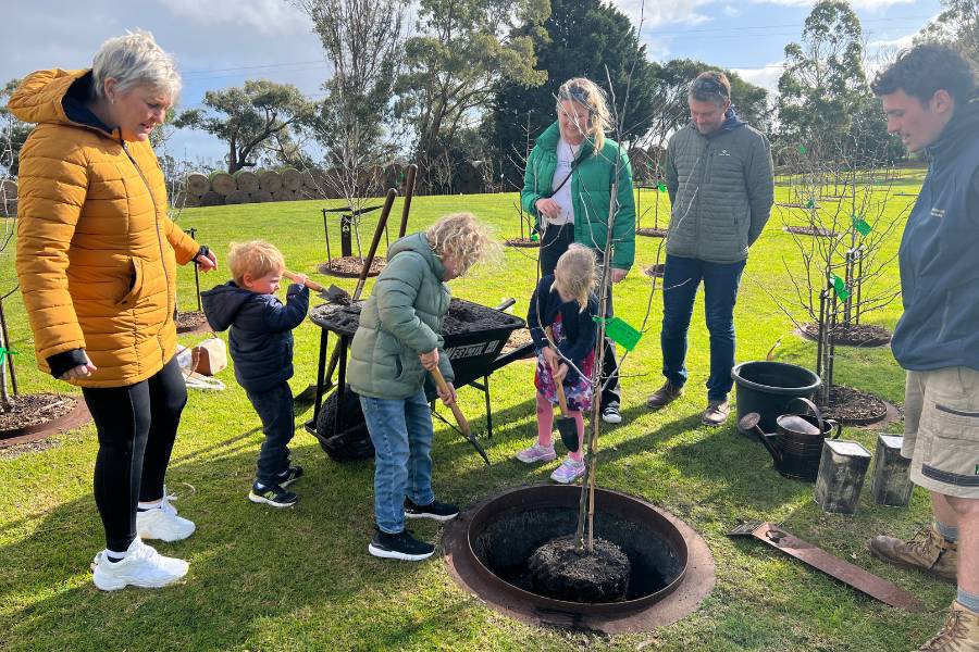 Planting a tree with human ashes at Mornington Green Living Legacy Gardens