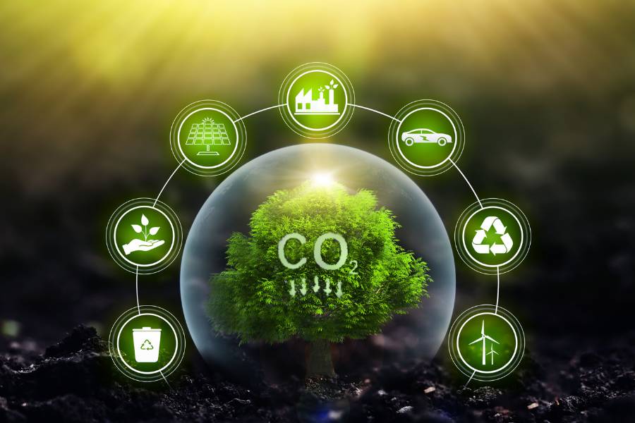 Environmental benefits of memorial tree planting