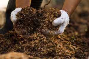 A human composting process and where human composting is available in Australia