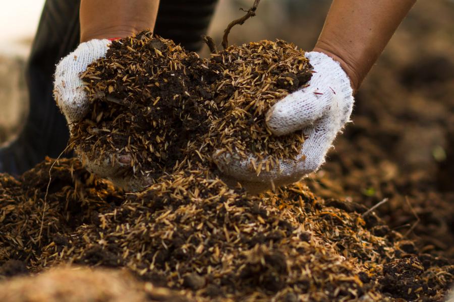 A human composting process and where human composting is available in Australia