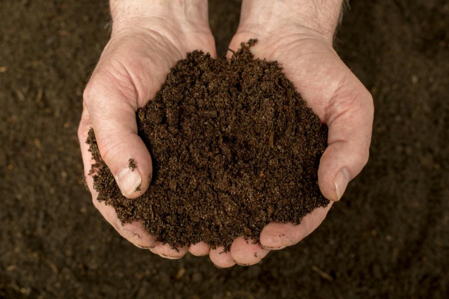 Here we explain the current legal status of human composting in Australia and human composting locations in Australia