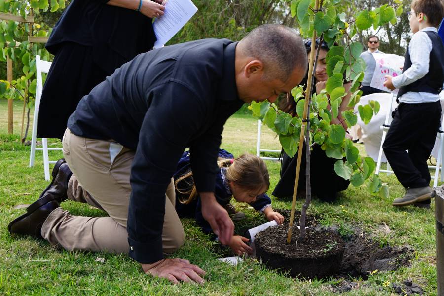 One of the best method to keep cremated ashes is turning them into memorial trees through Living Legacy Tree