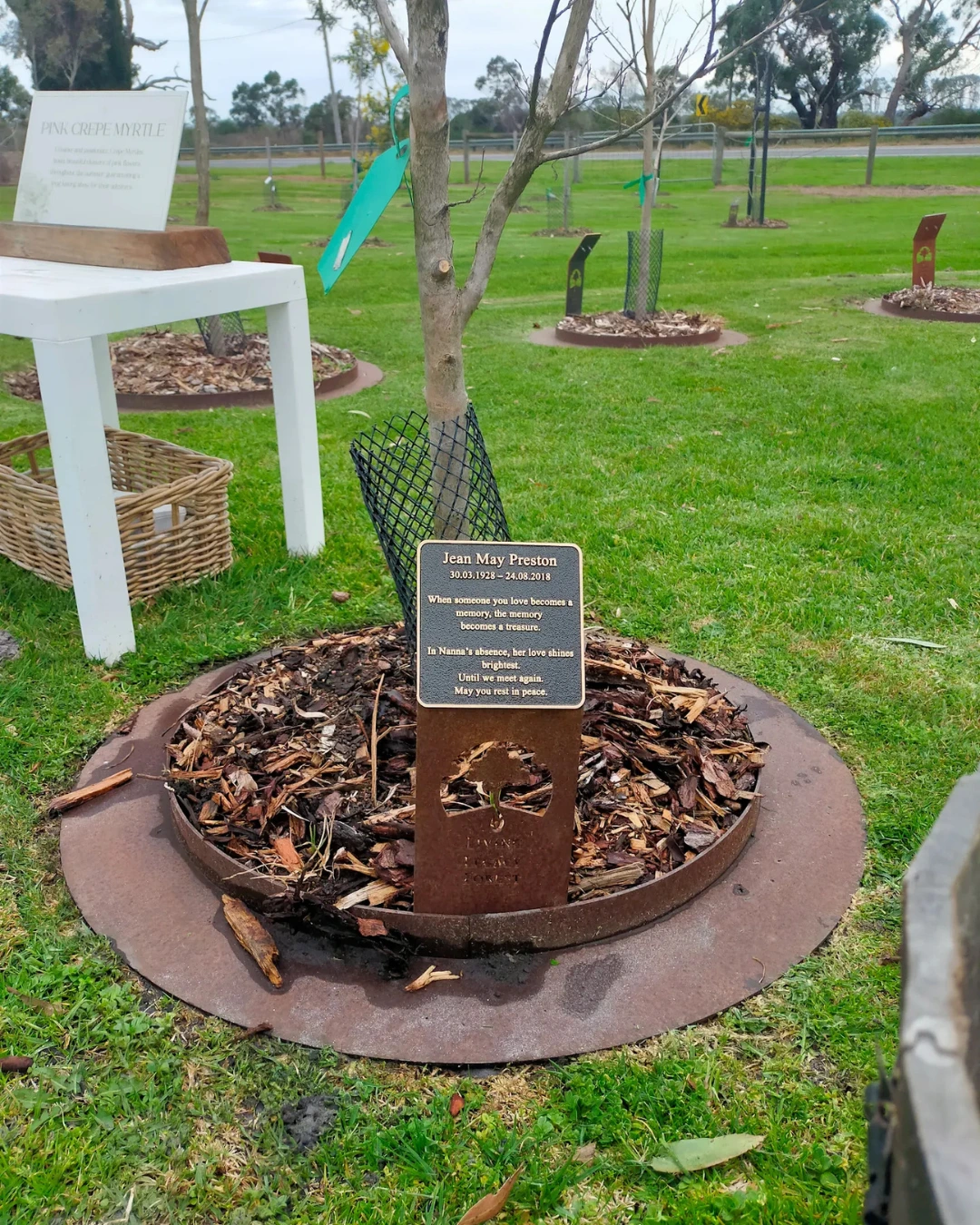 Angela Pearson – Heartfelt Ceremony Support