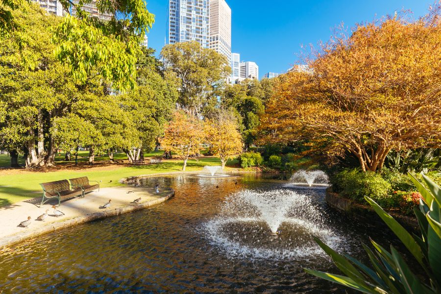 Best Gardens To Visit In Melbourne Treasury Garden