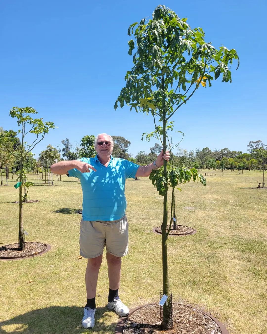 Chris Burch – Reserved Tree Plaque