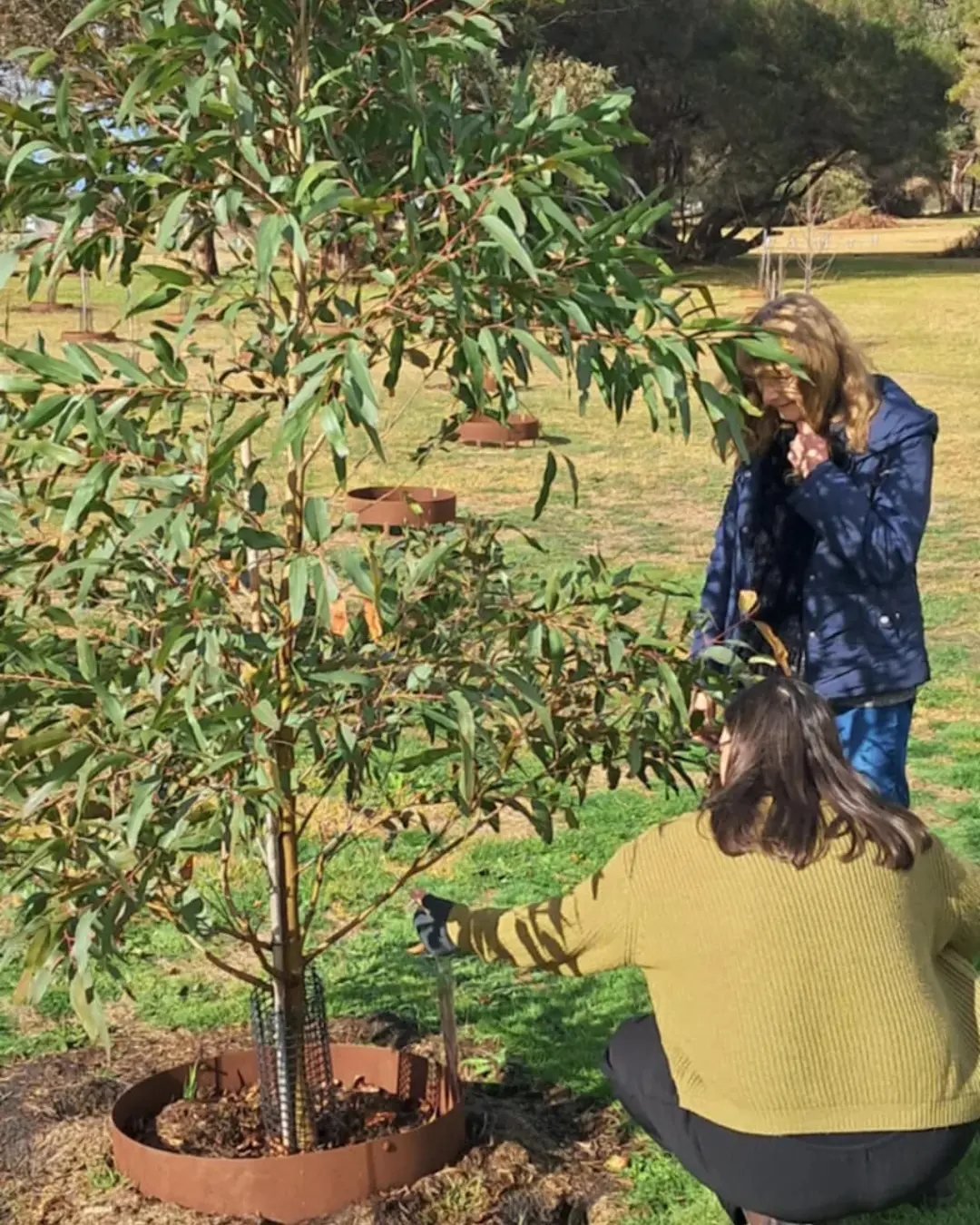 Melissa Burston’s positive experience choosing a family tree at Mornington Green
