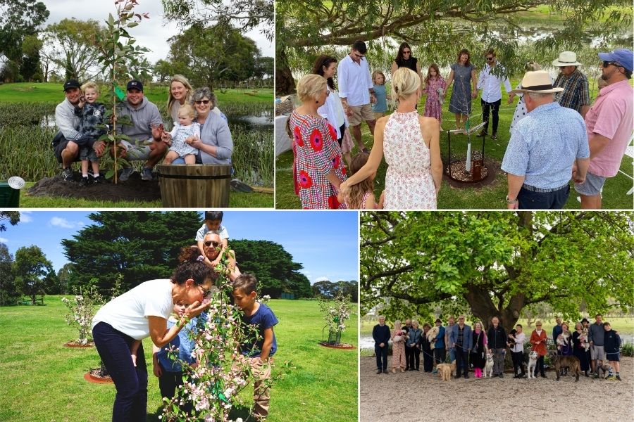 The best hospice care in Australia is by planting Living Legacy Trees at Mornington Green Living Legacy Gardens