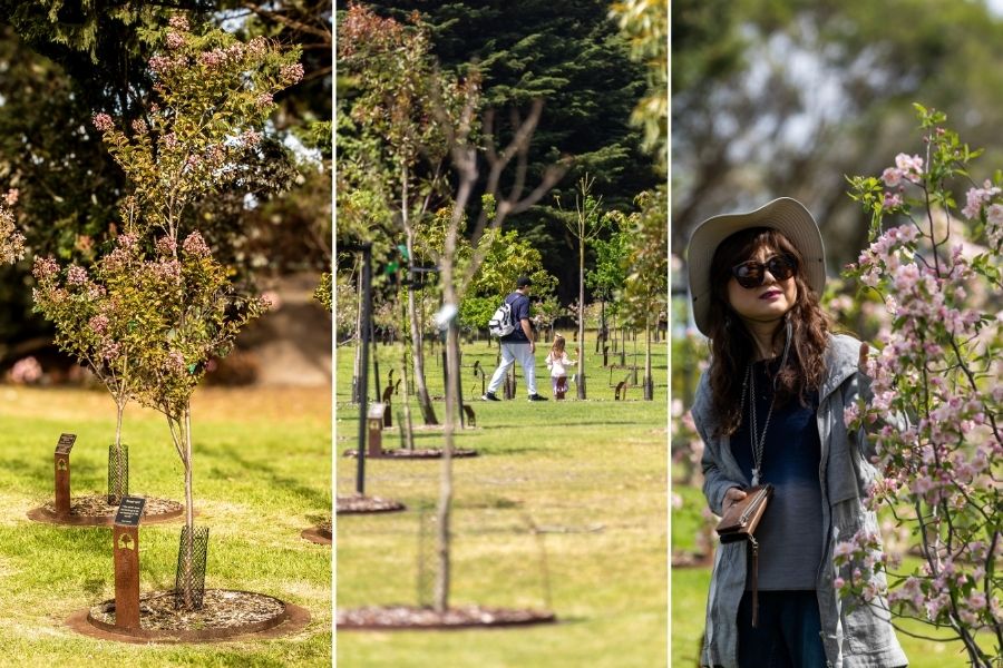The best garden to visit in Melbourne and Victoria is Mornington Green Living Legacy Gardens