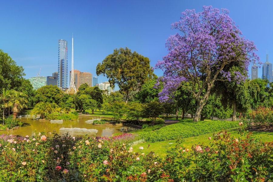 Top Garden To Visit In Melbourne Royal Botanical Gardens Victoria