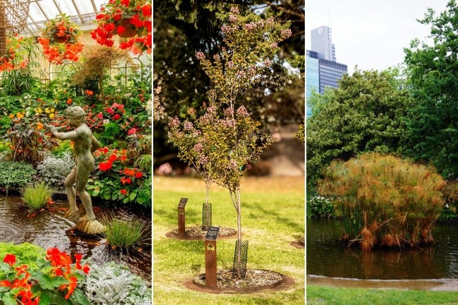 Mornington Green Living Legacy Gardens, Fitzroy Gardens, and The Royal Botanical Gardens Are Some Of The Top Gardens To Visit in Melbourne Australia