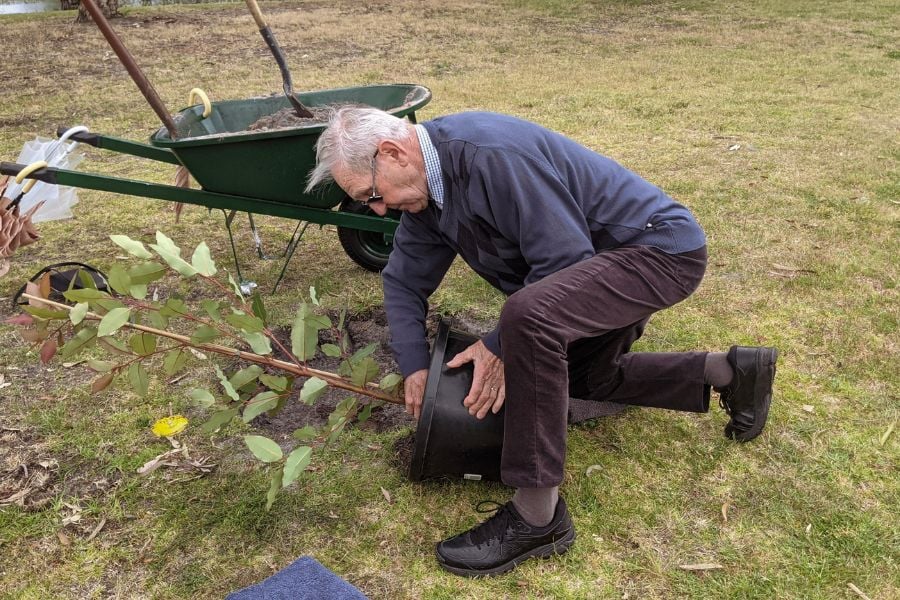 Living Legacy Tree Is One Of The Best Way To Plan Your Retirement In Melbourne By Mornington Green Living Legacy Gardens