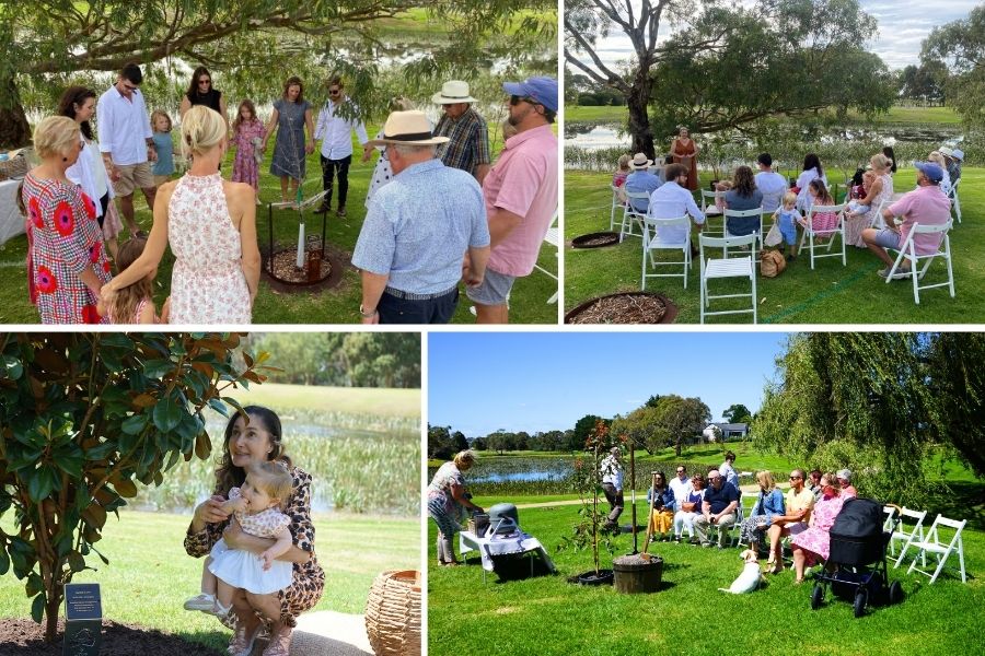 Living Legacy Tree Reviews At Mornington Green Living Legacy Gardens