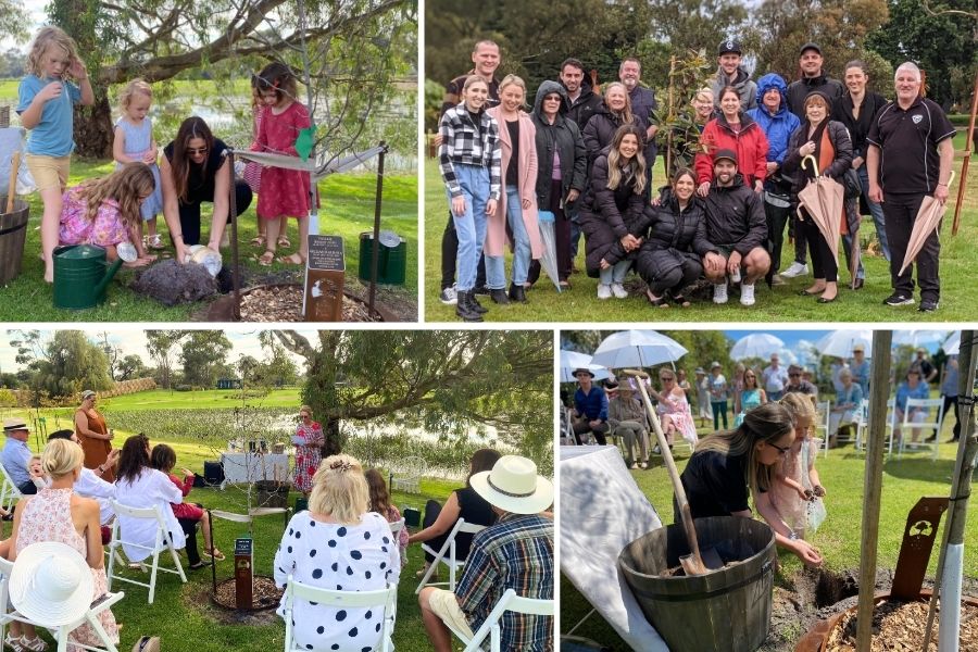 Check Mornington Green reviews here