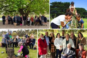 Mornington Green reviews