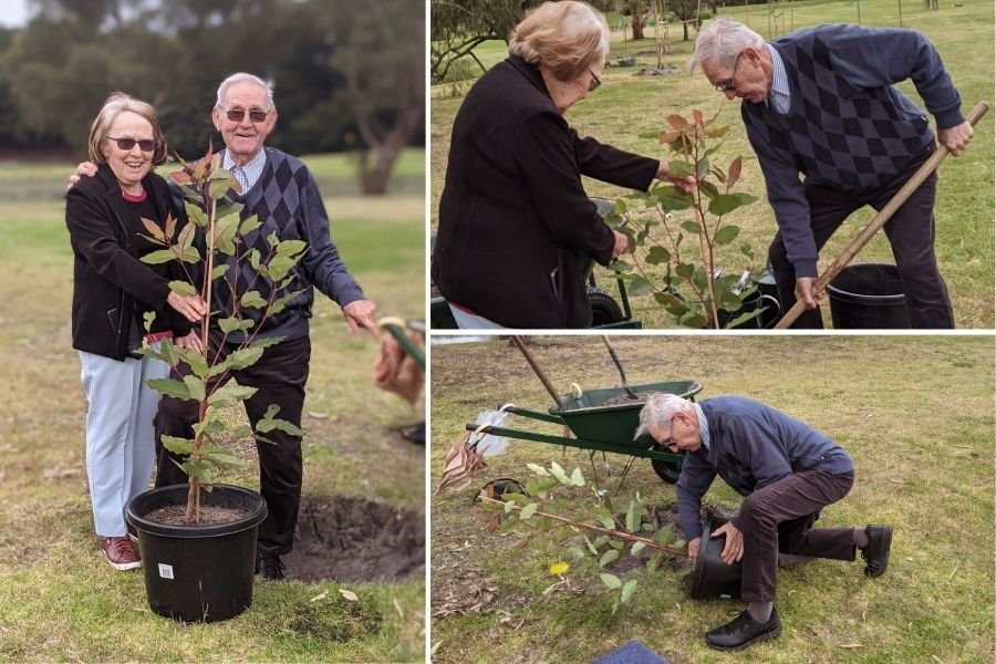 Memorial tree pre-planning at Mornington Green Living Legacy Gardens Melbourne Australia
