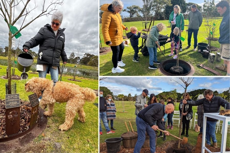 Check here for testimonials of Living Legacy Trees at Mornington Green Living Legacy Gardens