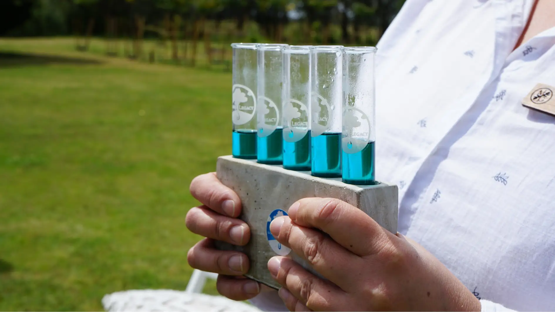 exclusive living legacy tree formula