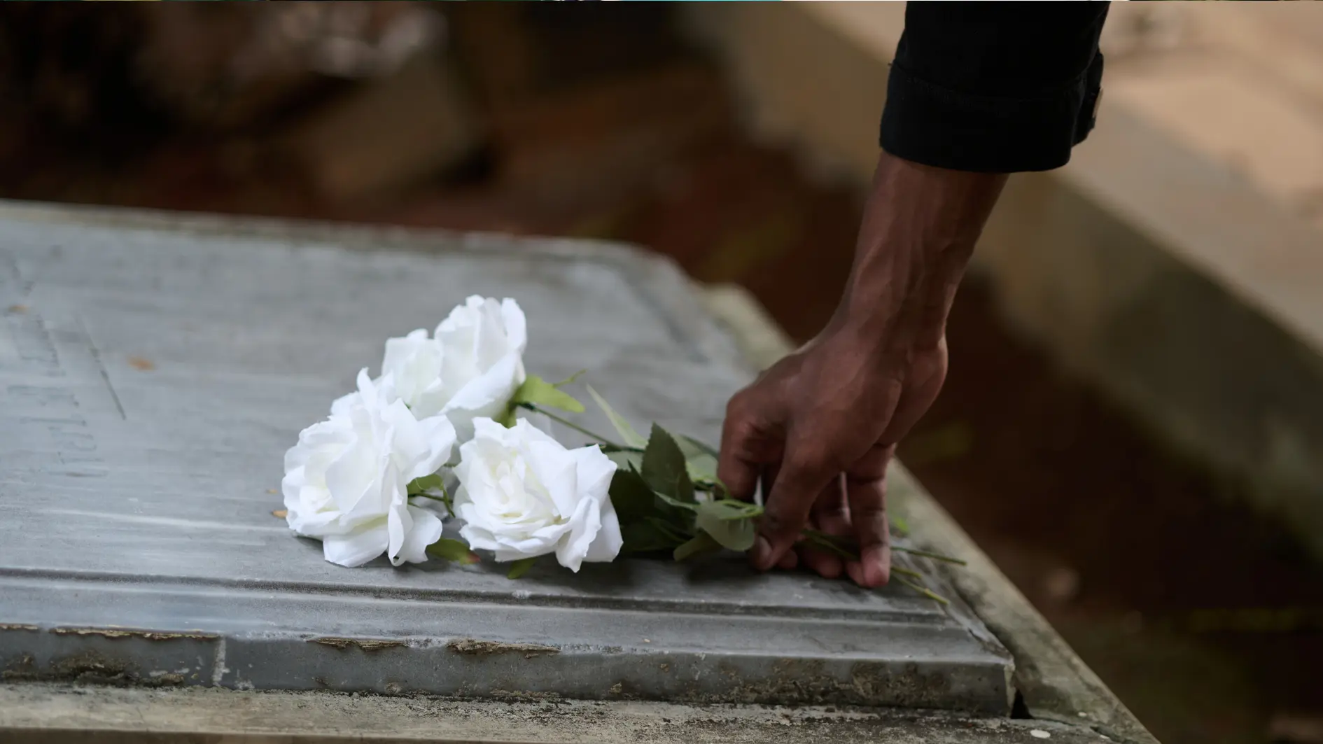 the man put white flower on top of cemetery