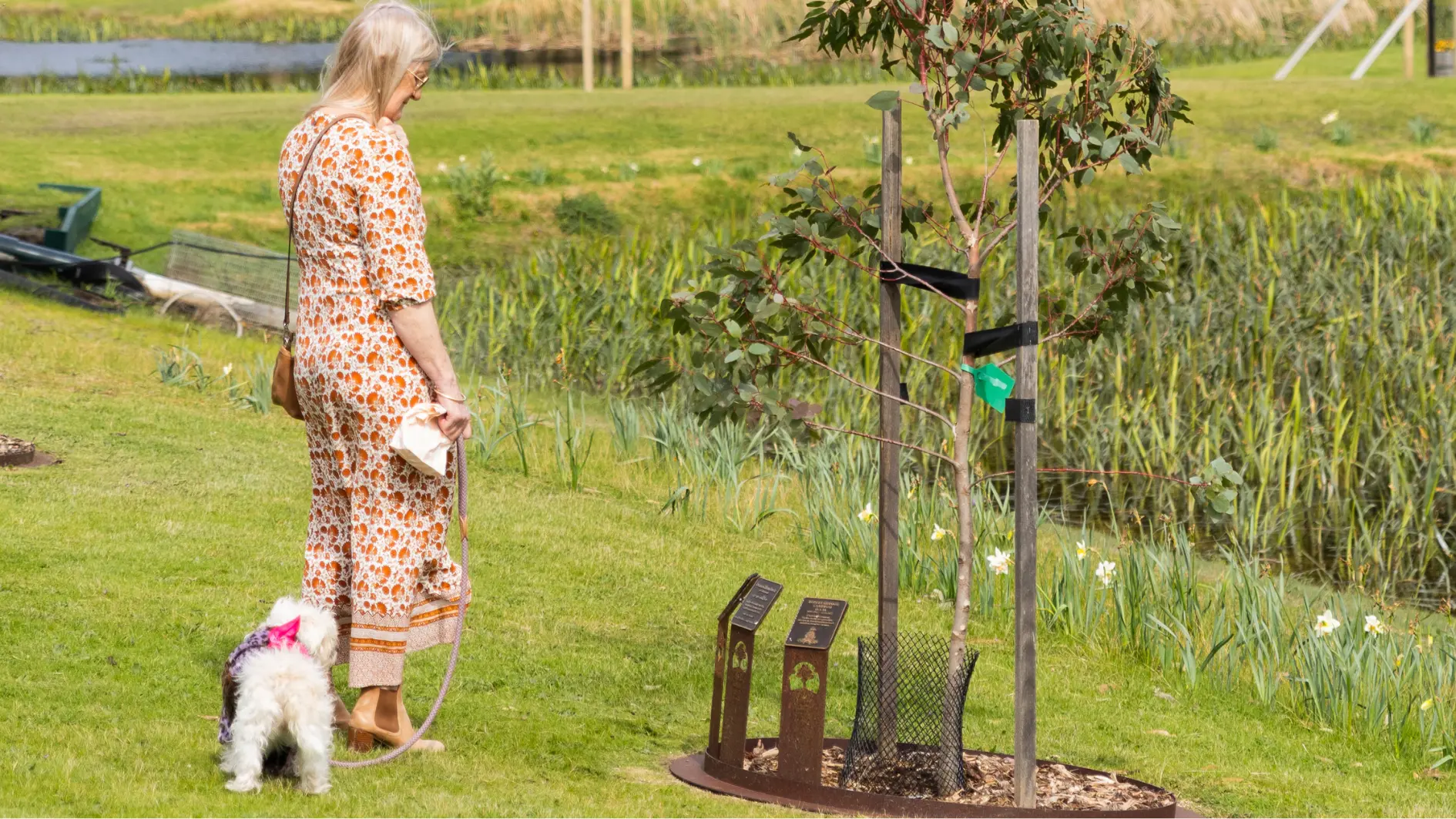 The lady seeing memorial tree with her dogs
